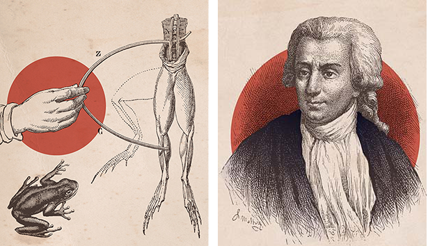 Two images: the first image depicts a hand holding a wire to a frog corpse, where the leg is indicated to have moved. The second image is a ink portrait of Luigi Galvani